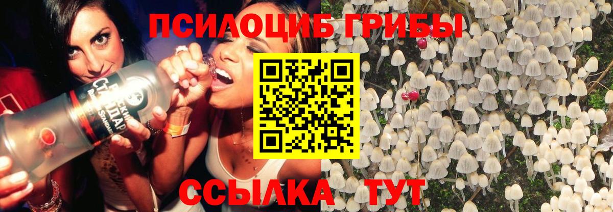 Ханты-Мансийск  Псилоцибиновые грибы Psilocybe  наркота  Вход с VPN  Галлюциногенные грибы Cubensis 